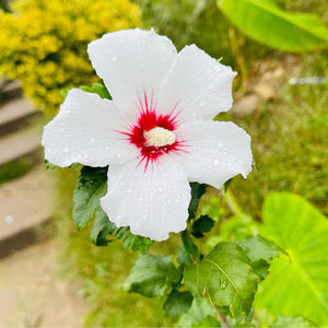 Meet your Posher, Aracely